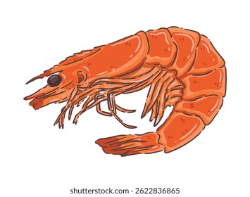 ilustración, Clipart, Elementos, camarón, Vector