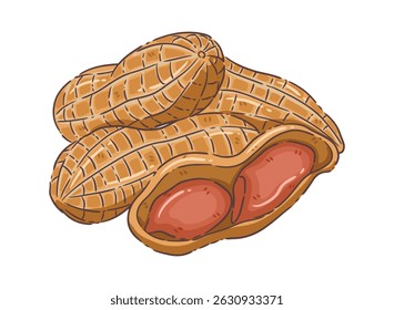 illustration, clipart, elements, vegetable, food, peanuts