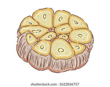 illustration, clipart, elements, vegetable, garlic
