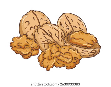 ilustração, clipart, elementos, nozes, vegetal