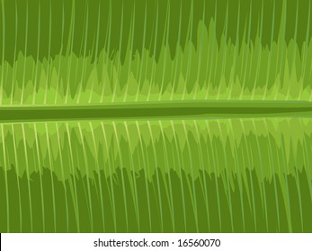 illustration of close up of banana leaf