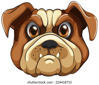 Illustration of a close up bulldog
