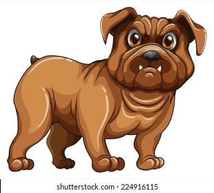 Illustration of a close up bulldog