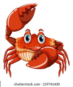 Illustration of a close up crab