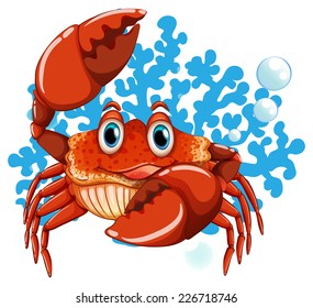 illustration of a close up crab