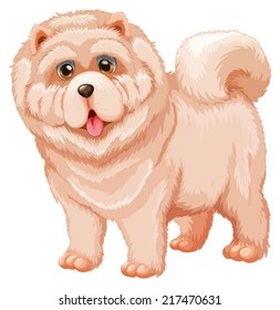 Illustration of a close up dog