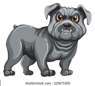 Illustration of a close up dog