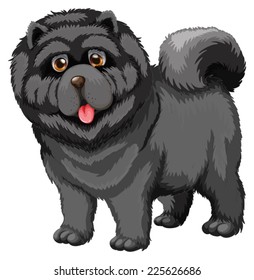 Illustration of a close up dog