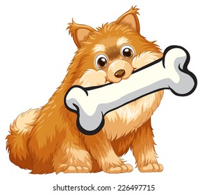 illustration of a close up dog