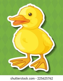 Illustration of a close up duck