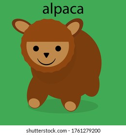 illustration close up face alpaca