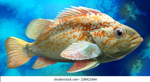 Illustration of a close up fish