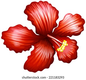 Illustration einer Nahblume