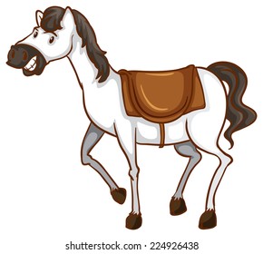 Illustration of a close up horse