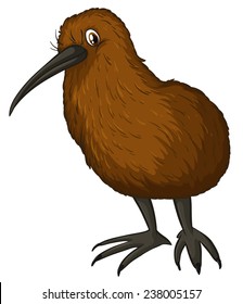 Illustration of a close up kiwi bird