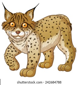 Illustration of a close up lynx