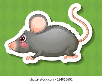 Illustration of a close up mouse