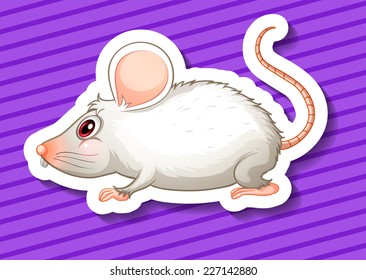 illustration of a close up mouse
