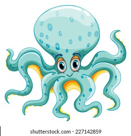 illustration of a close up octopus