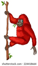 Illustration of a close up orangutan