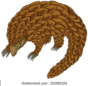 Illustration of a close up pangolin