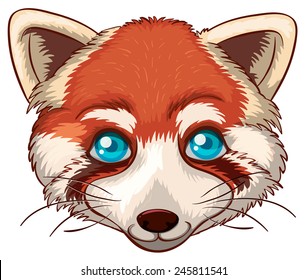 Illustration of a close up red panda head