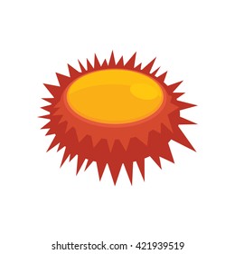Illustration of a close up sea urchin orange