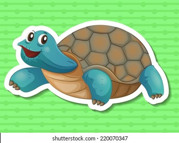 Illustration of a close up turtle