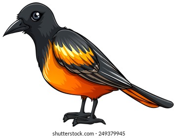 Ilustración de un hermoso pájaro cerrado