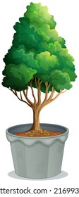 Illustration of a closeup potted plant
