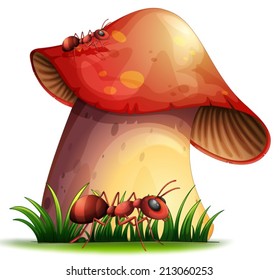 Illustration of a closeup red mushroom