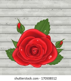 Illustration close-up red rose for Valentine Day on wooden background - vector
