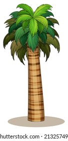 Ilustración de una palmera soltera de un armario