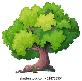 Illustration of a closeup tree