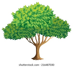 Illustration of a closeup tree