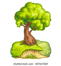 Illustration of a closeup tree