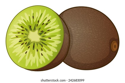 Illustration of a closse up kiwi fruit
