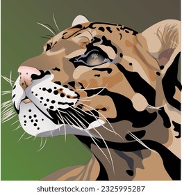 Illustration of a Clouded Leopard against a green background