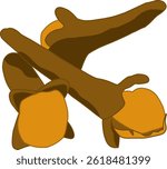 Illustration of cloves with a bold, stylized design, featuring two dried flower buds in rich brown and orange tones on a white background