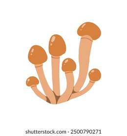 Illustration of a cluster of brown mushrooms with elongated stems and round caps. Detailed botanical design showcasing natural, organic fungi found in forests. Perfect for nature-themed projects.