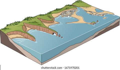 The illustration of a coastline features - vector 