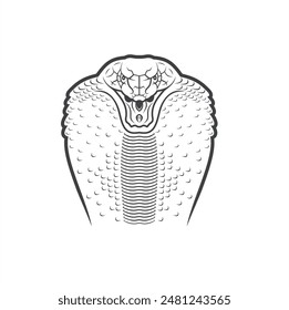 illustration of a cobra, a poisonous snake, vector art.
