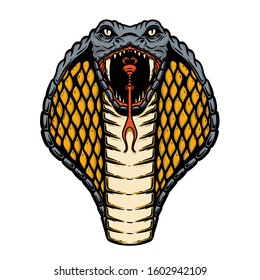 Illustration of cobra snake. Design element for poster, card, banner, flyer. Vector illustration