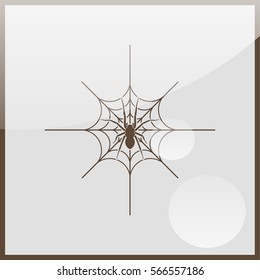 Illustration of cobweb.