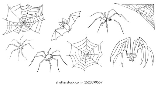 Illustration with cobweb, spider and bat for Halloween. Vector set of isolated black and white composition on white background. Interesting silhouette for your zenart or coloring book