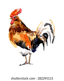 Illustration of a cock