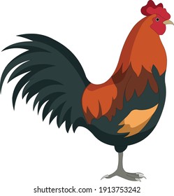 Illustration of cock vector design