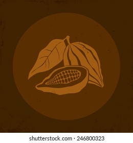 Illustration of a Cocoa bean in brown background