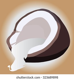 Illustration of coconut 
