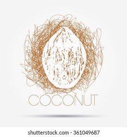 Illustration of coconut